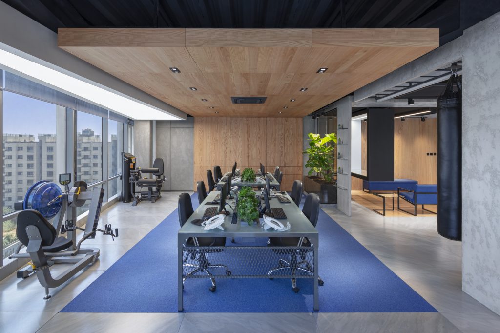 Desks on a blue carpet under a wood ceiling, with fitness equipment along the windows.