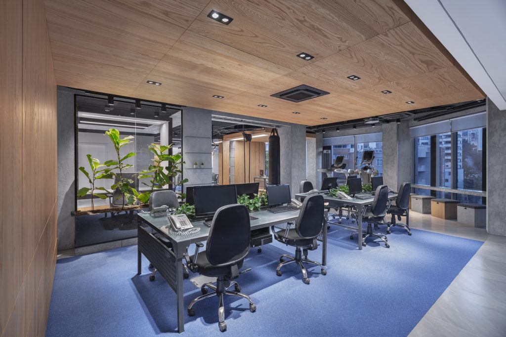 Workstations with black chairs on a blue carpet, framed by wood panels and planters.